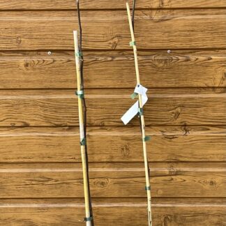 Žltodrevec farbiarsky (Cladrastis lutea) veľkosť 150-170cm